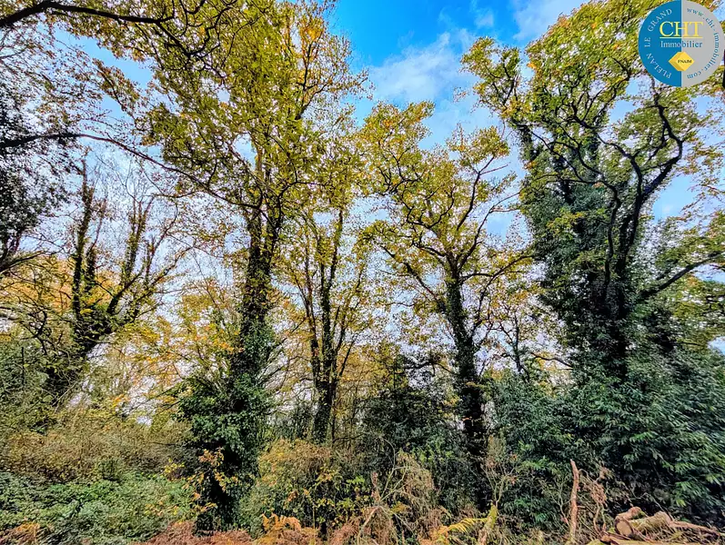 Étang d'agrément à Guer — photo 3