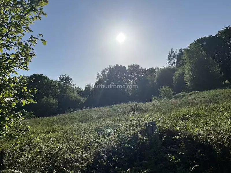 Étang d'agrément à Trévé — photo 5