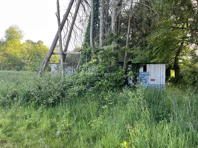 Étang d'agrément à Trévé — photo 4