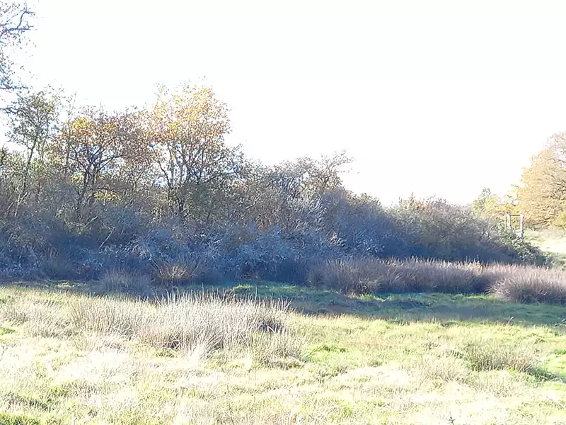 Étang de chasse à Rosnay — photo 2