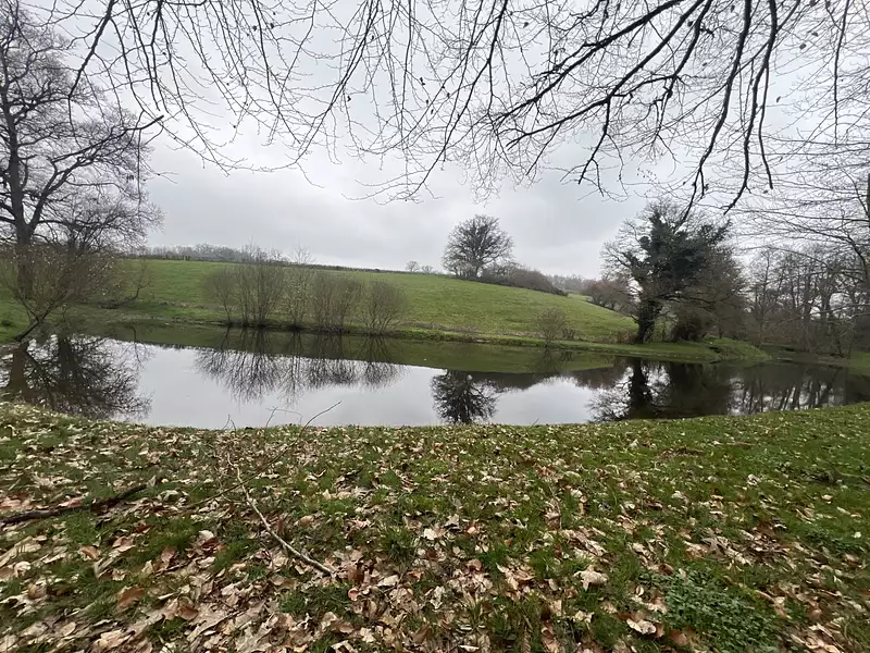 Leisure fishing lake, 0.4 ha in the Cher, Berry — photo 4