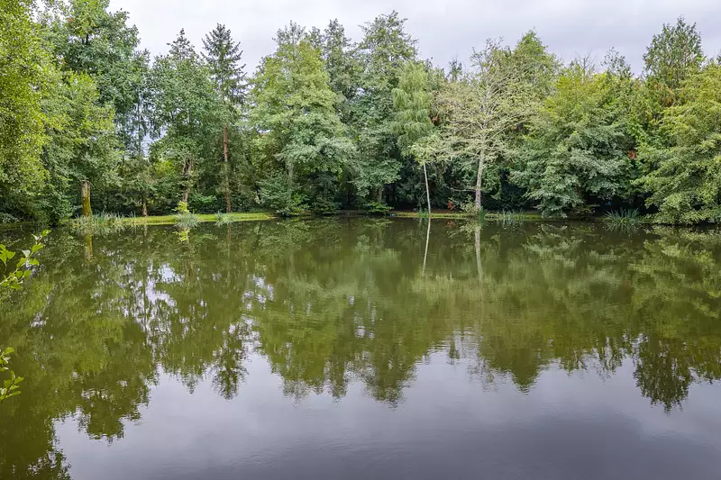 Étang d'agrément à Fougerolles — photo 4