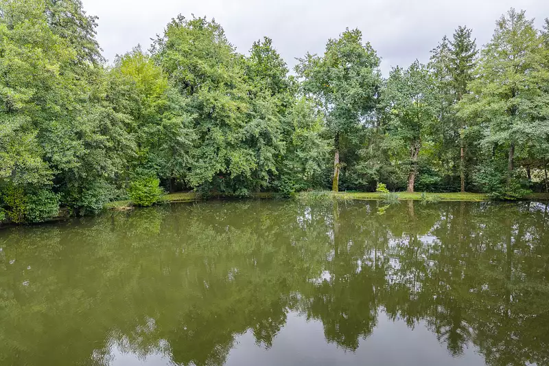 Étang d'agrément à Fougerolles — photo 3