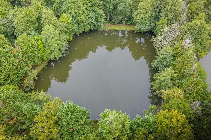 Étang d'agrément à Fougerolles
