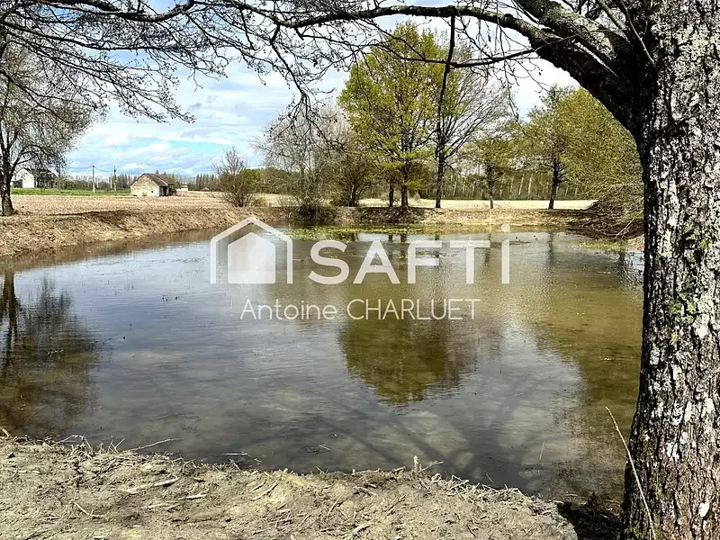 Étang de loisir à Saulnay (36)