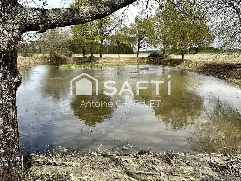 Étang de loisir à Saulnay (36) — photo 2