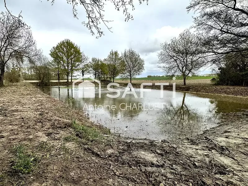 Étang de loisir à Saulnay (36) — photo 4