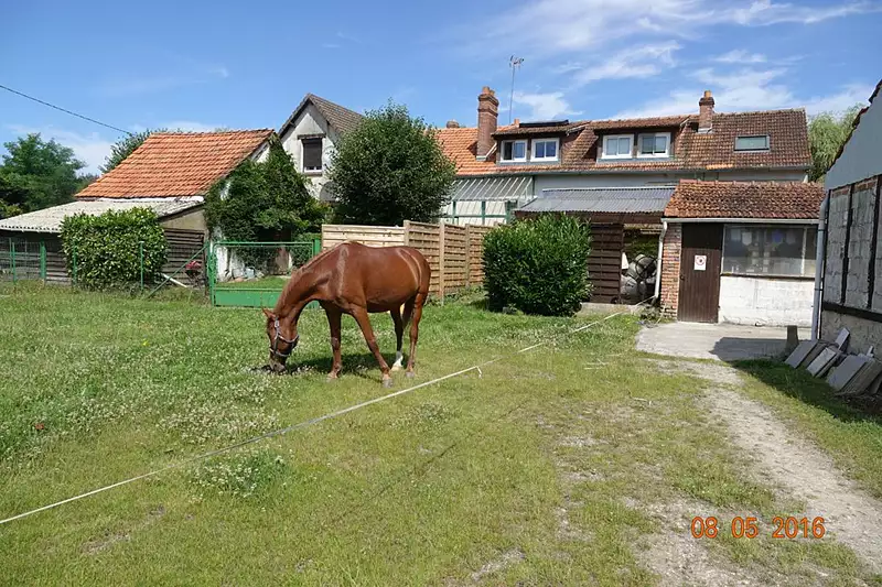 Étang d'agrément à Ligny-le-Ribault — photo 3