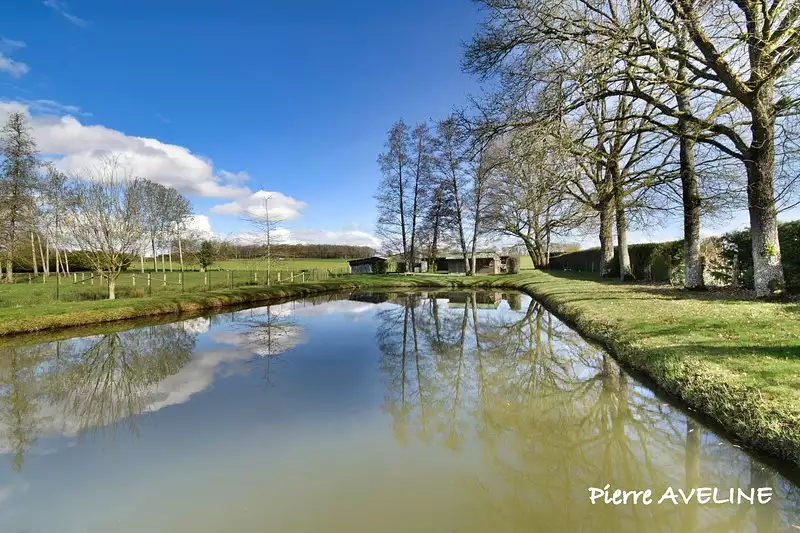Étang d'agrément à Argenvilliers — photo 2