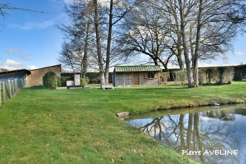 Étang d'agrément à Argenvilliers — photo 4