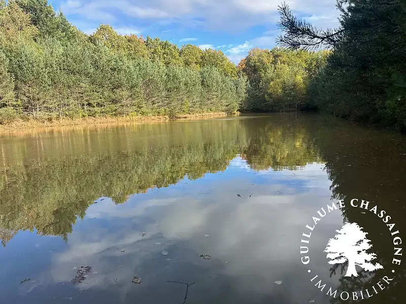 Étang d'agrément à Allogny