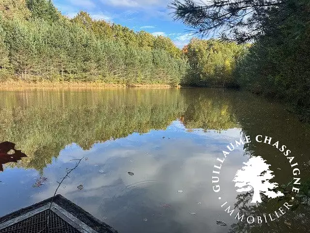 Étang d'agrément à Allogny — photo 2