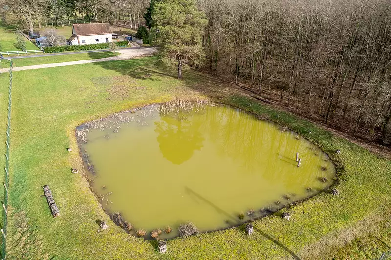 Étang de pêche à Thénioux — photo 5