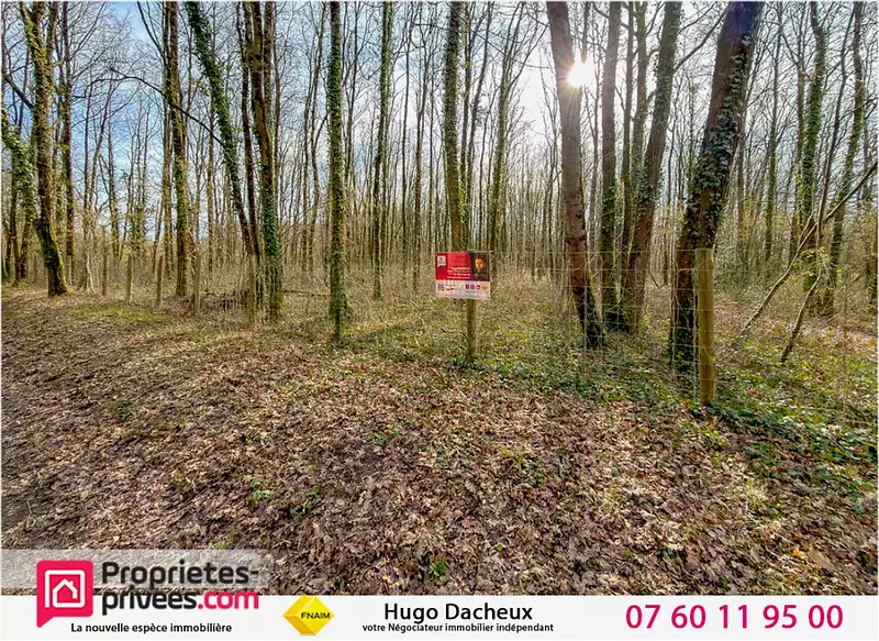 Étang d'agrément à Thénioux — photo 3