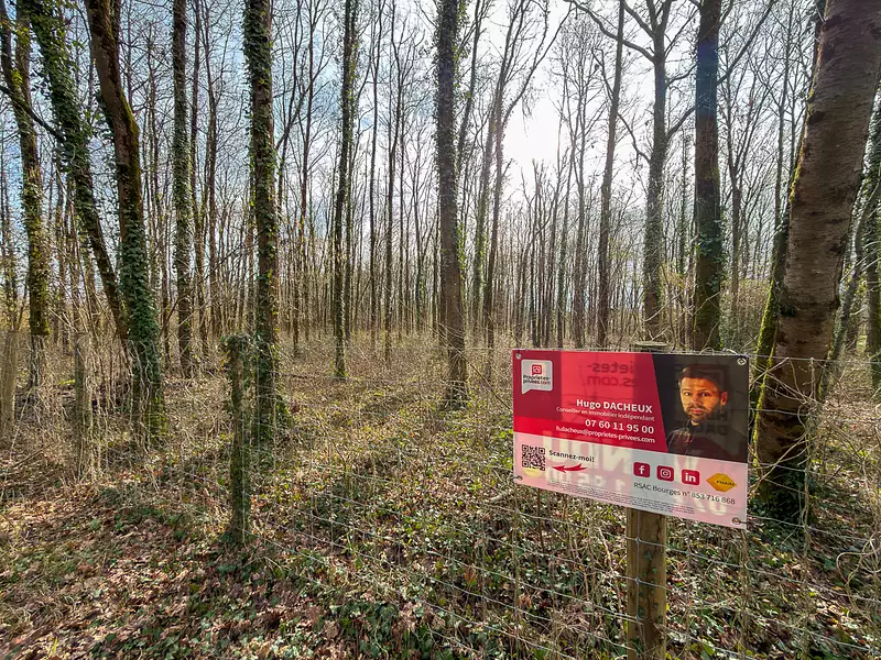 Étang d'agrément à Thénioux — photo 4