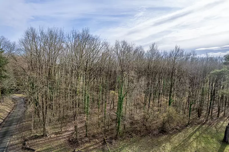 Étang d'agrément à Thénioux — photo 2