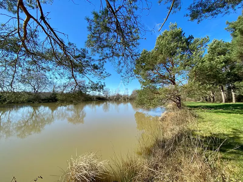 Étang de chasse à Saint-Brisson-sur-Loire — photo 4