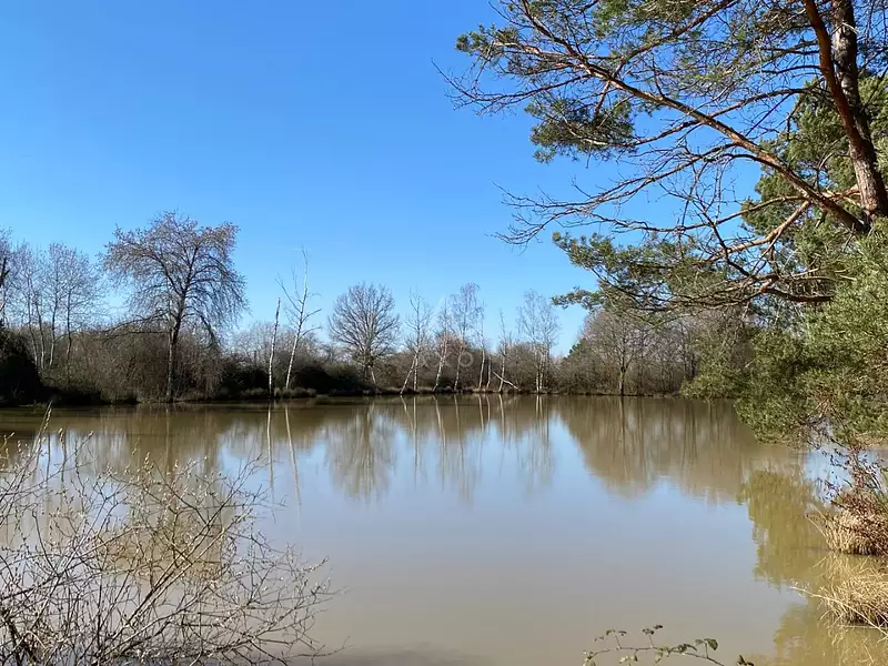 Étang de chasse à Saint-Brisson-sur-Loire — photo 3