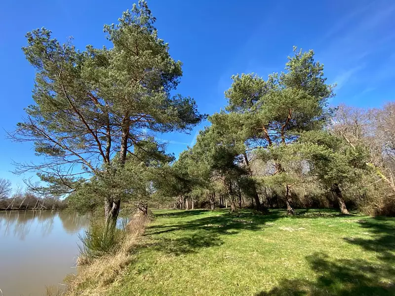 Étang de chasse à Saint-Brisson-sur-Loire