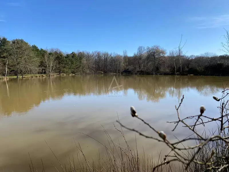 Leisure lake and woodland, 8,000 m² in the Loire Valley — photo 5