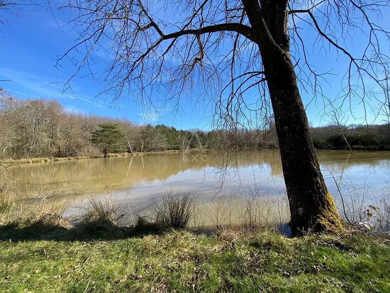 Leisure lake and woodland, 8,000 m² in the Loire Valley — photo 4