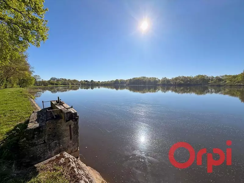 Étang de pêche de 4 ha à Meillant — photo 3