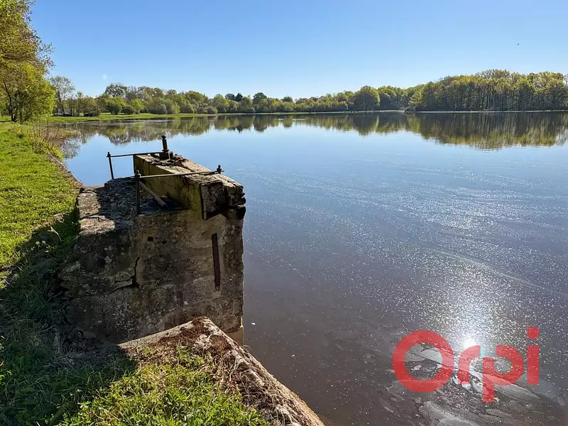 Étang de pêche de 4 ha à Meillant — photo 4