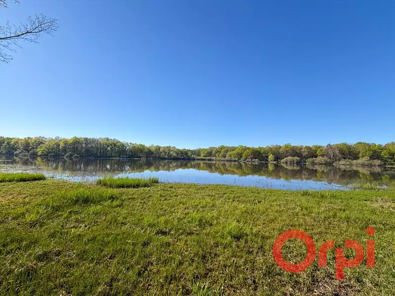 Étang de pêche de 4 ha à Meillant — photo 2