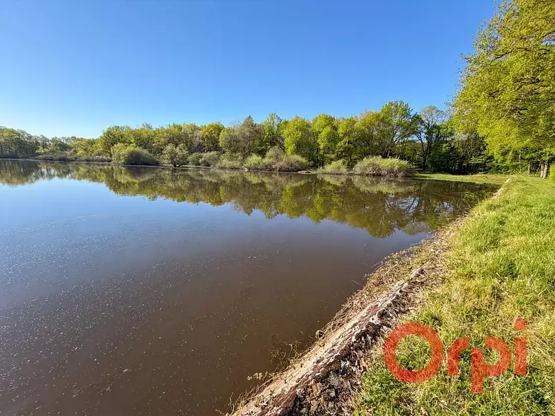 Fishing lake, 4 ha in Centre-Val-de-Loire — photo 3