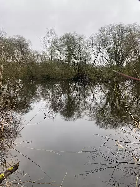 Étang de pêche à Château-la-Vallière