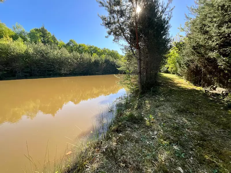 Étang de pêche de 1 ha à Allogny — photo 2