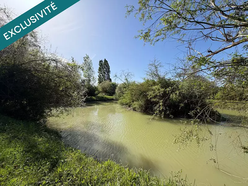 Étang d'agrément à Val-Fouzon — photo 4