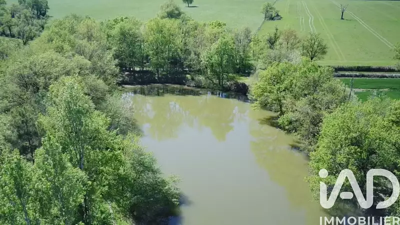 Étang de pêche à Touchay