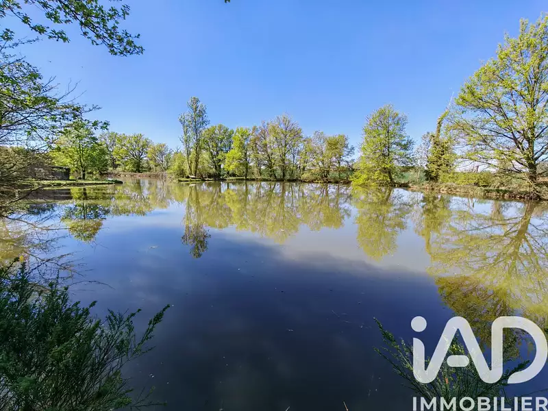 Fishing lake, 1 hectare, Centre-Val de Loire — photo 2