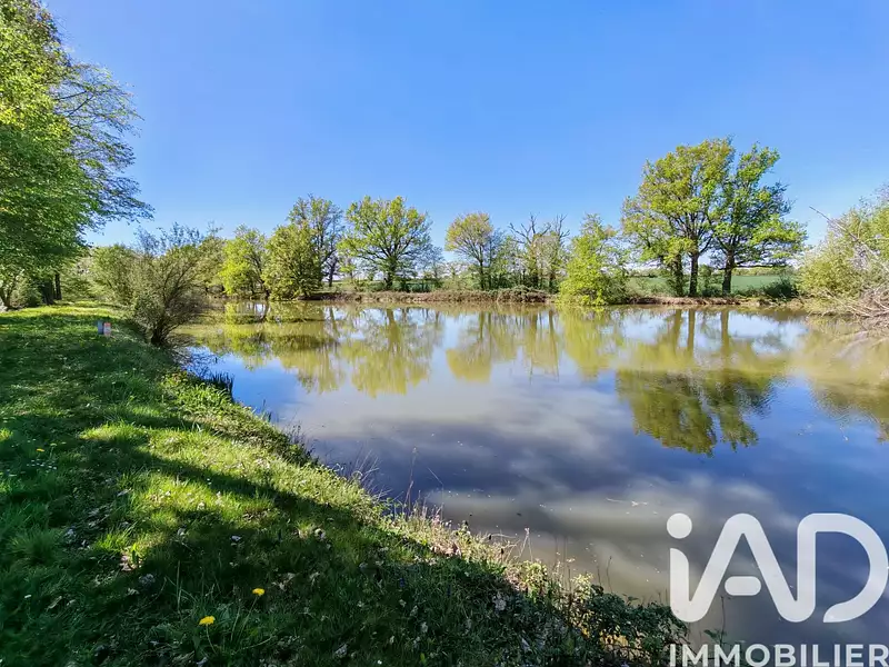 Étang de pêche à Touchay — photo 4