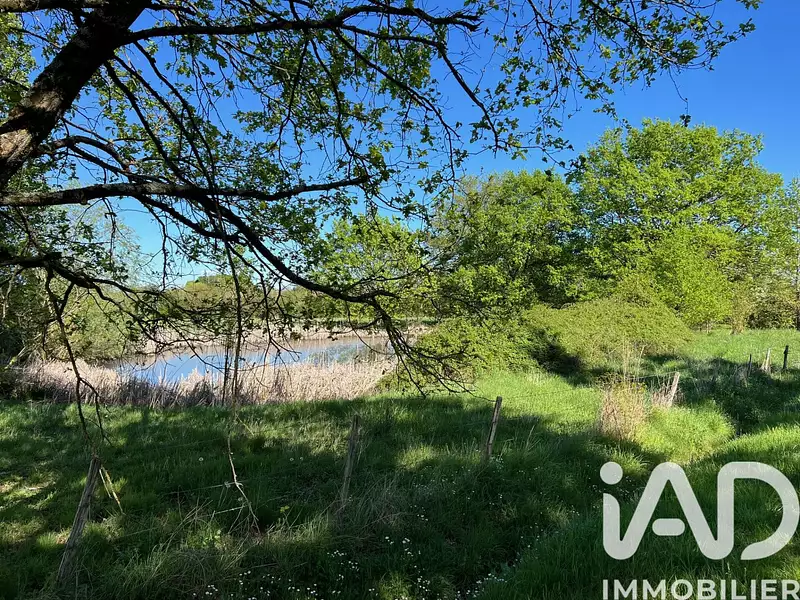 Étang d'agrément à Saint-Christophe-en-Bazelle — photo 3