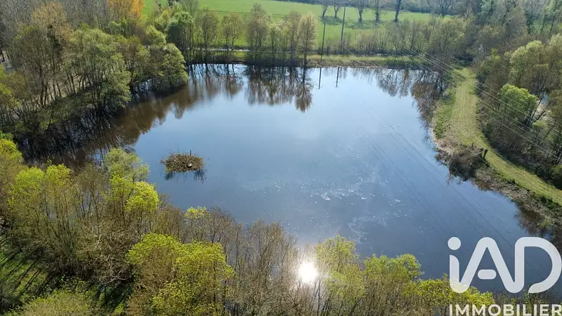Étang de pêche à Chinon — photo 2