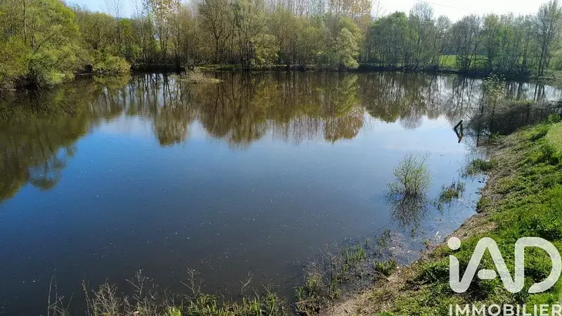 Étang de pêche à Chinon — photo 3