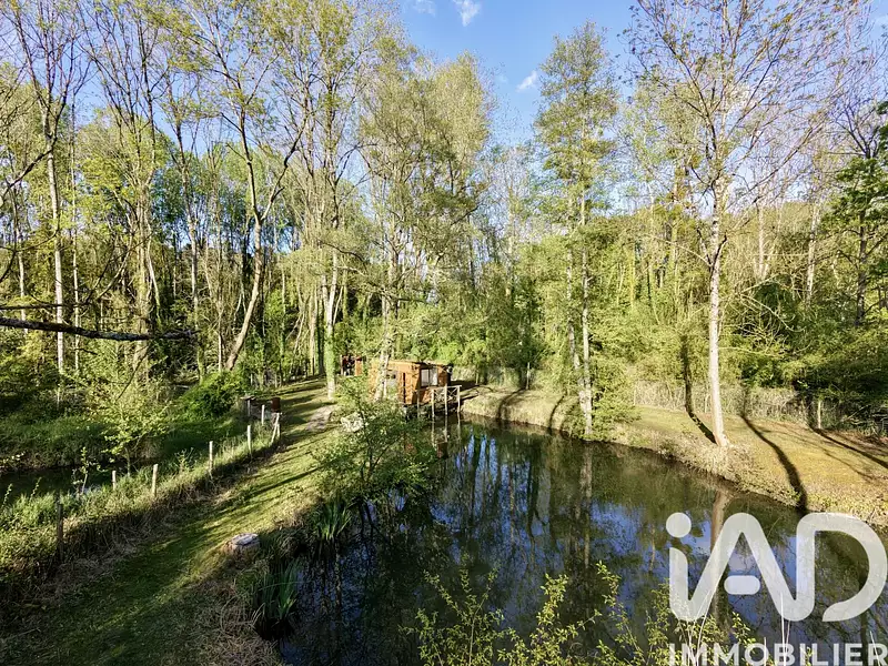 Étang de pêche à Ferrières-en-Gâtinais — photo 5