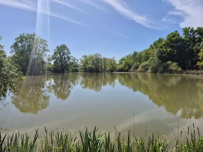 Étang de chasse de 2 ha à Précy