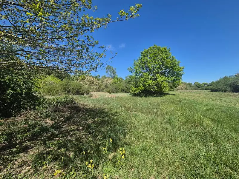 Étang de chasse de 2 ha à Précy — photo 4
