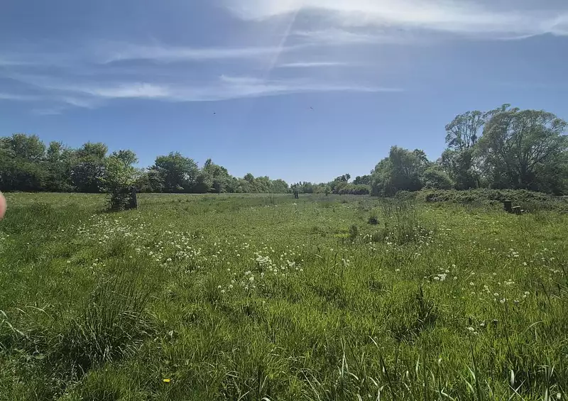 Étang de chasse de 2 ha à Précy