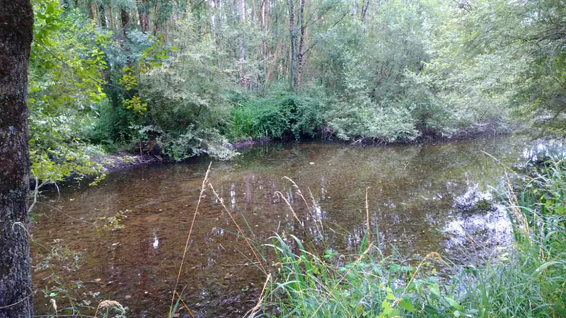 Étang de pêche à Valloire-sur-Cisse — photo 4