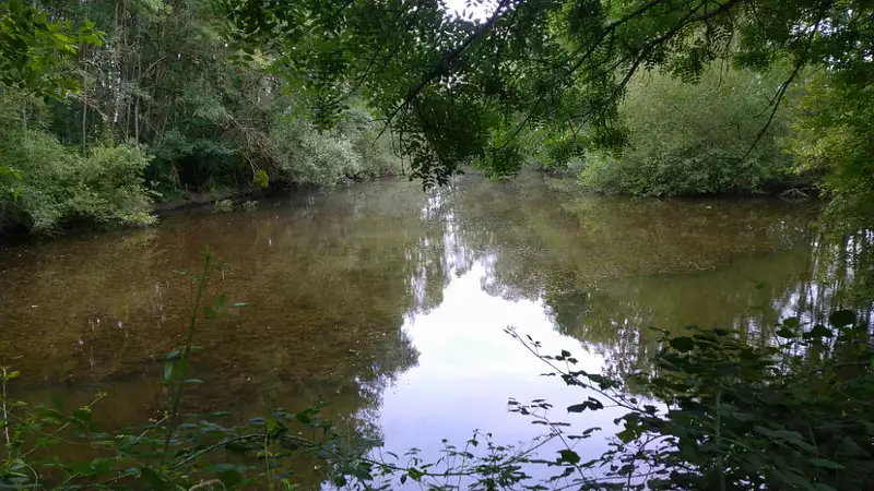 Étang de pêche à Valloire-sur-Cisse — photo 3