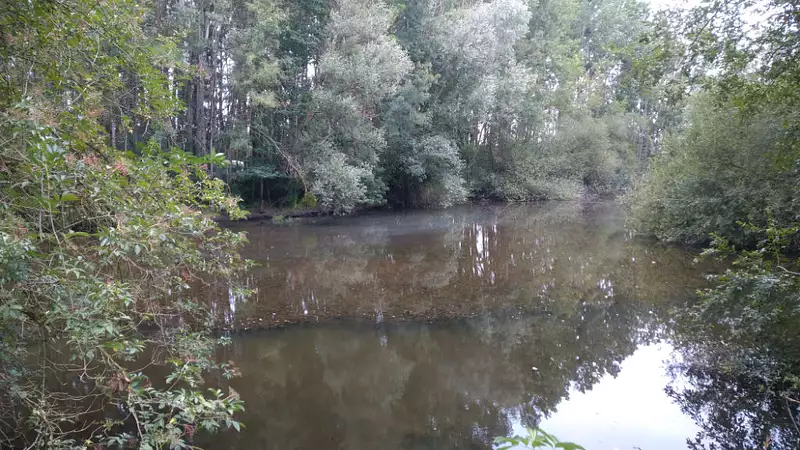 Étang de pêche à Valloire-sur-Cisse