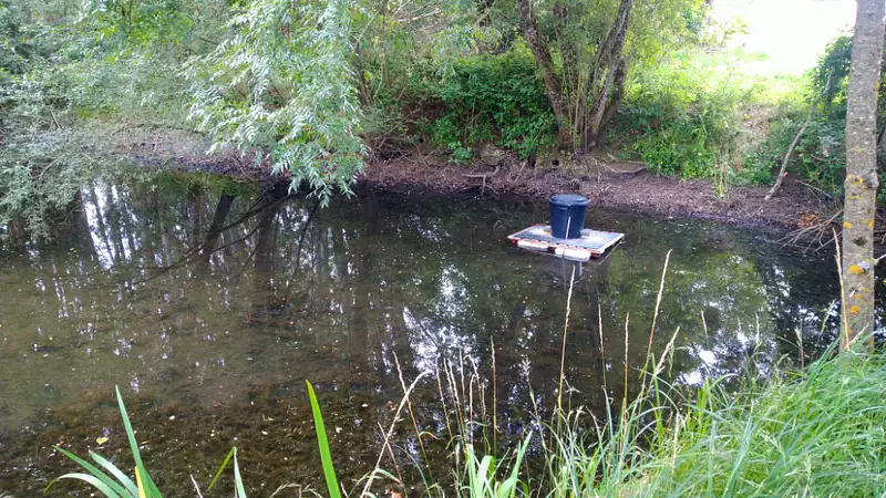 Étang de pêche à Valloire-sur-Cisse — photo 2