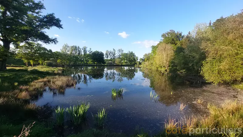 Étang de pêche de 2 ha à Vesdun — photo 5