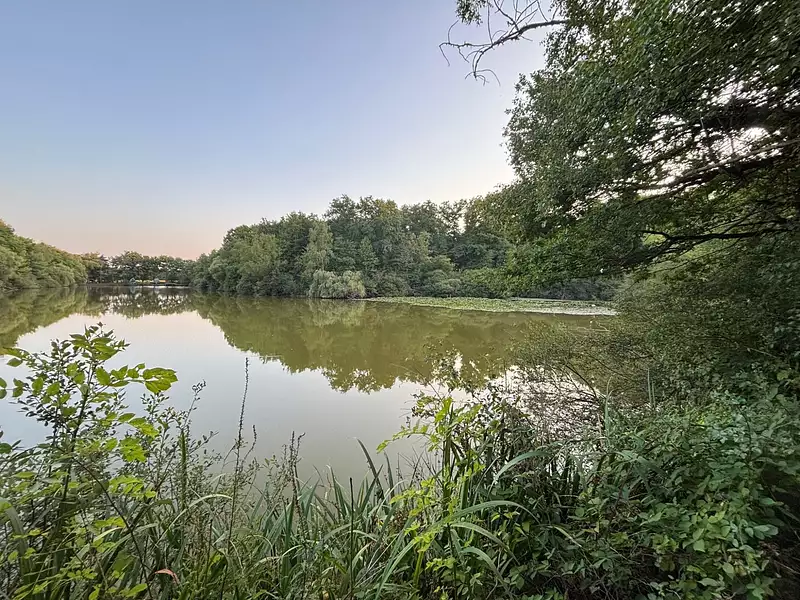Étang de pêche de 2 ha à Blancafort — photo 2