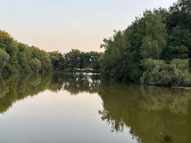 Private fishing lake, 2 ha with woodland, Loire Valley — photo 3