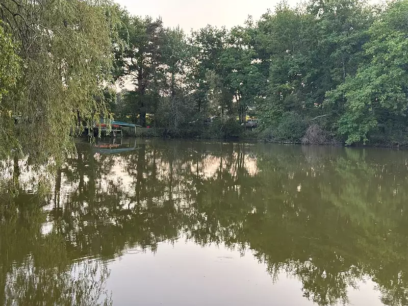 Étang de pêche de 2 ha à Blancafort — photo 4